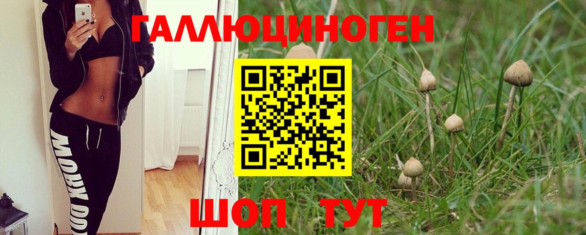 Псилоцибиновые грибы GOLDEN TEACHER Кирово-Чепецк