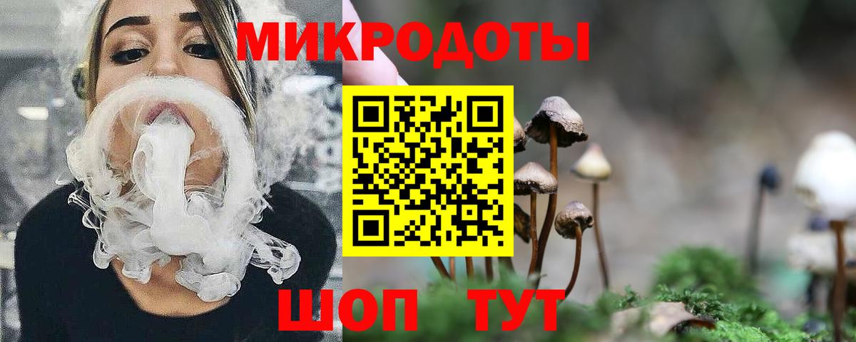 Кирово-Чепецк  Псилоцибиновые грибы мицелий  Вход с VPN  как найти наркотики  Псилоцибиновые грибы Psilocybine cubensis 